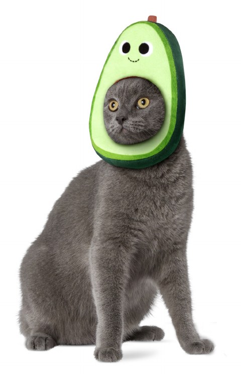Avocado Pet Headpiece S/M