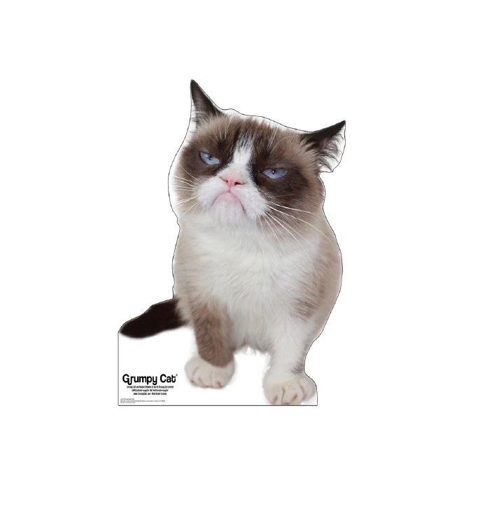 Grumpy Cat Standup