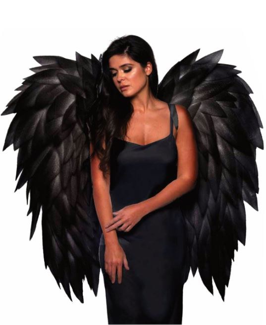 Angel Wings Black Waist Length