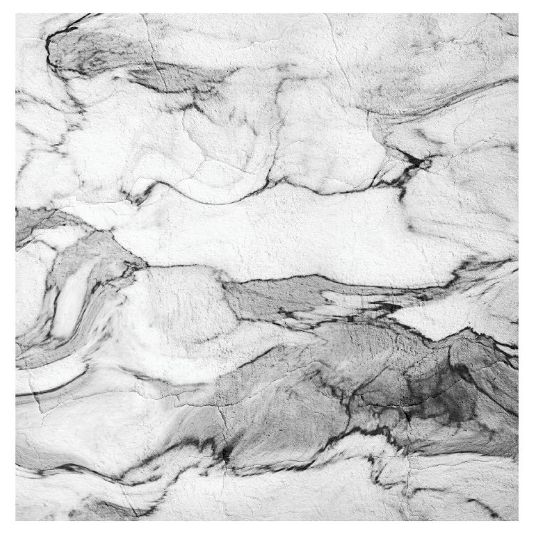 Lunch Napkins Marble B/W
