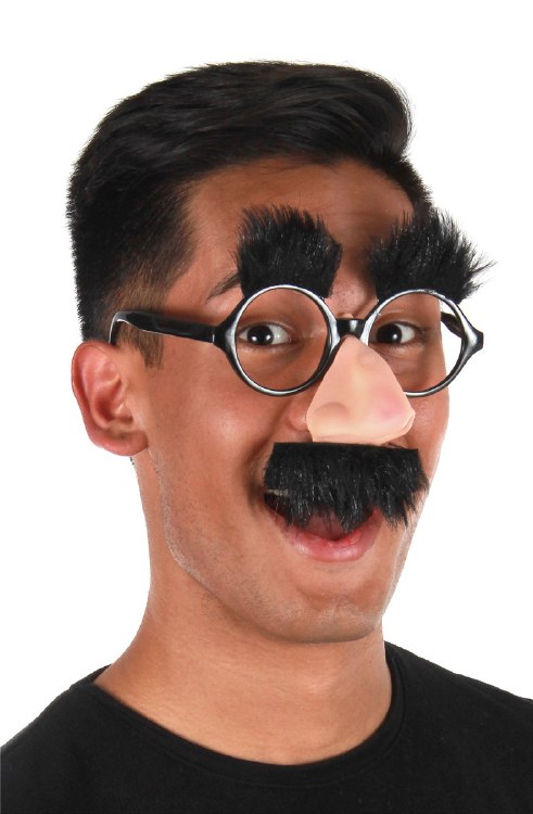 Groucho Glasses
