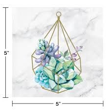 Succulent Beverage Napkins 16ct