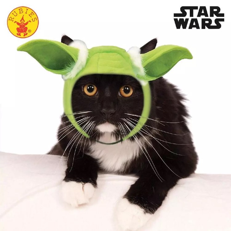 Yoda Cat Hood