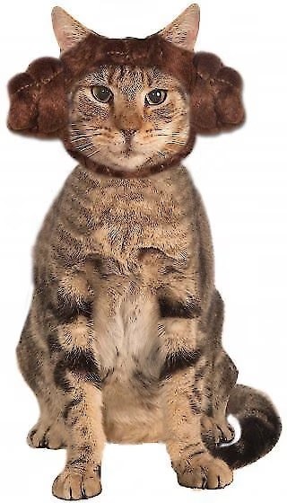 Princess Leia Cat Hood
