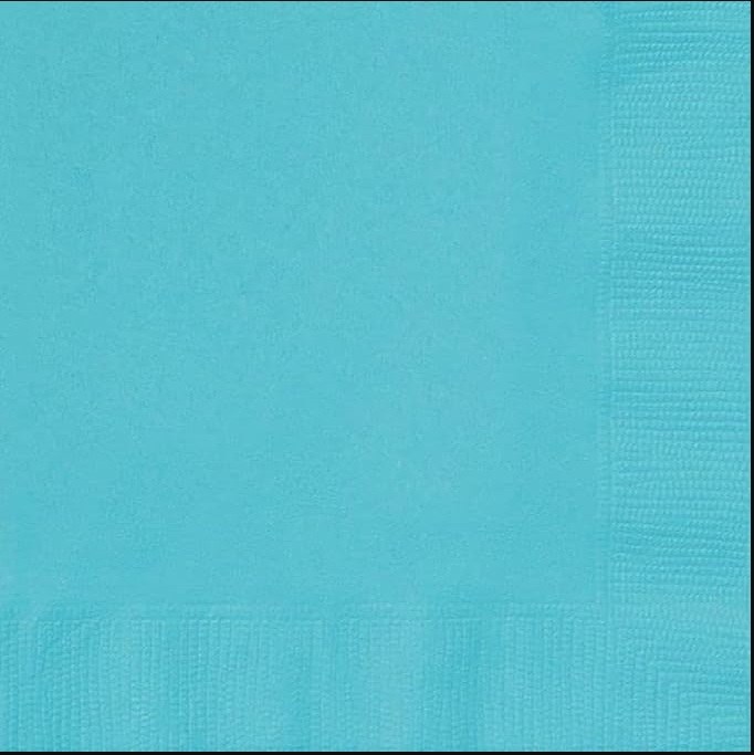 Terrific Teal Napkins 40 ct
