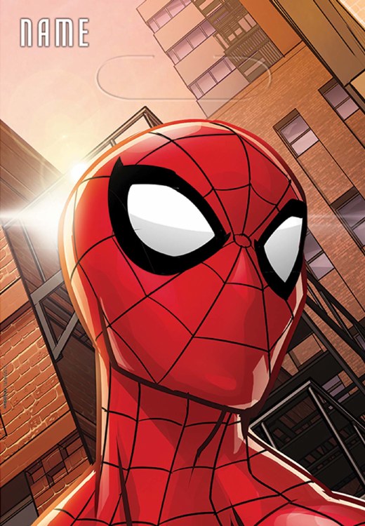 Spiderman Wonder Loot Bags 8ct