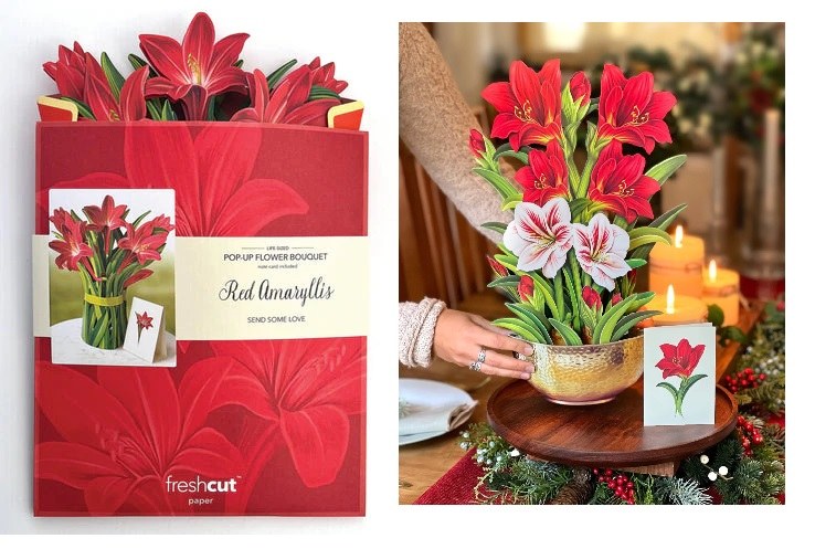 Ready to Ship Pop Up Flowers &amp; Card • Red Amaryllis