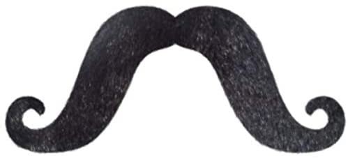 Fiesta Moustache