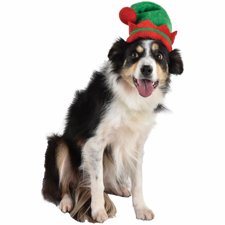 Pet Hat Elf  - XS/S