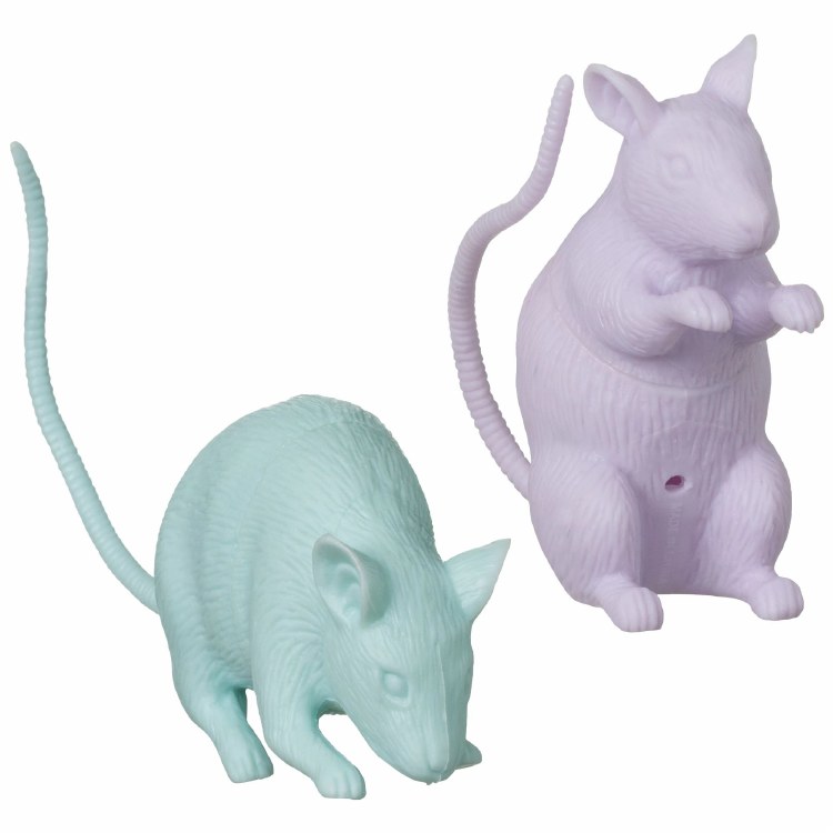 Small Rat - Pastel