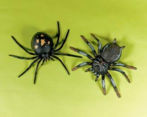 Favor Stretchy Spider