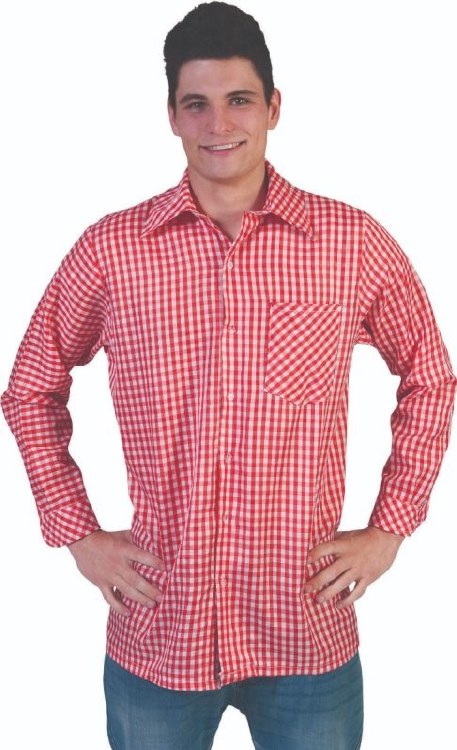 Shirt Red/White Check Boy 10