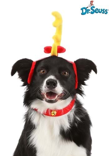 Pet Max Grinch Costume