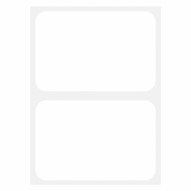 Name Tags Plain White