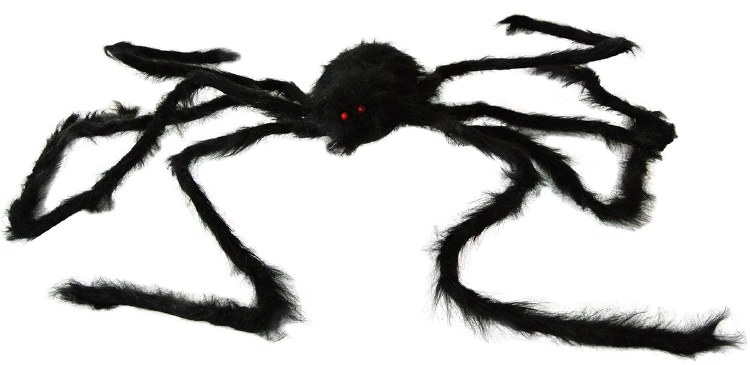 Spider 5ft Large Black