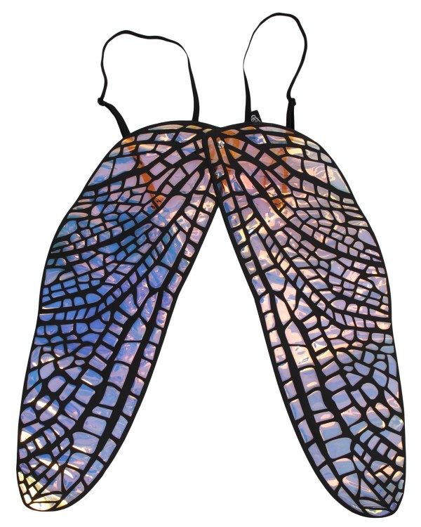 Adult Holographic Fly Wings