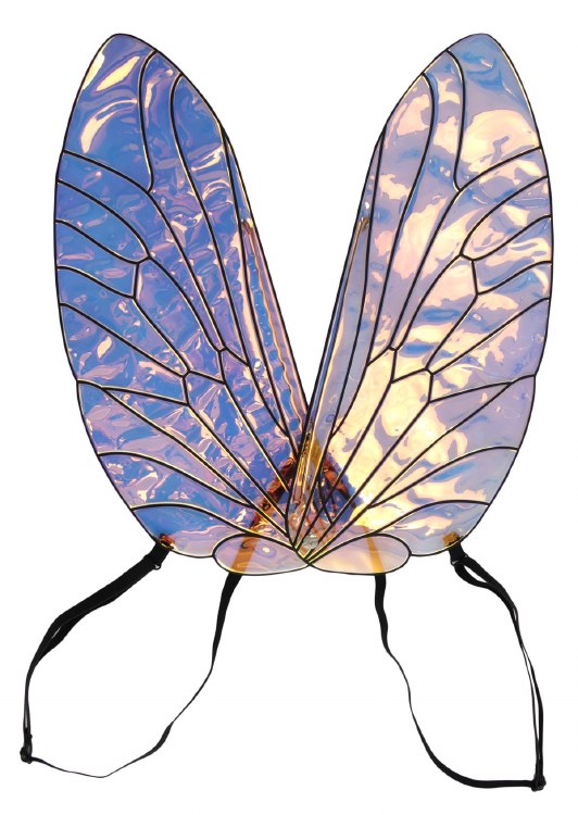 Holographic Bee Wings