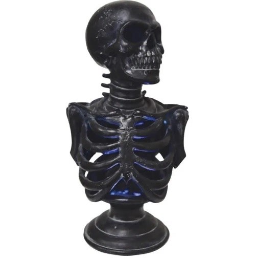 Skeleton Torso Light-up 12.5in