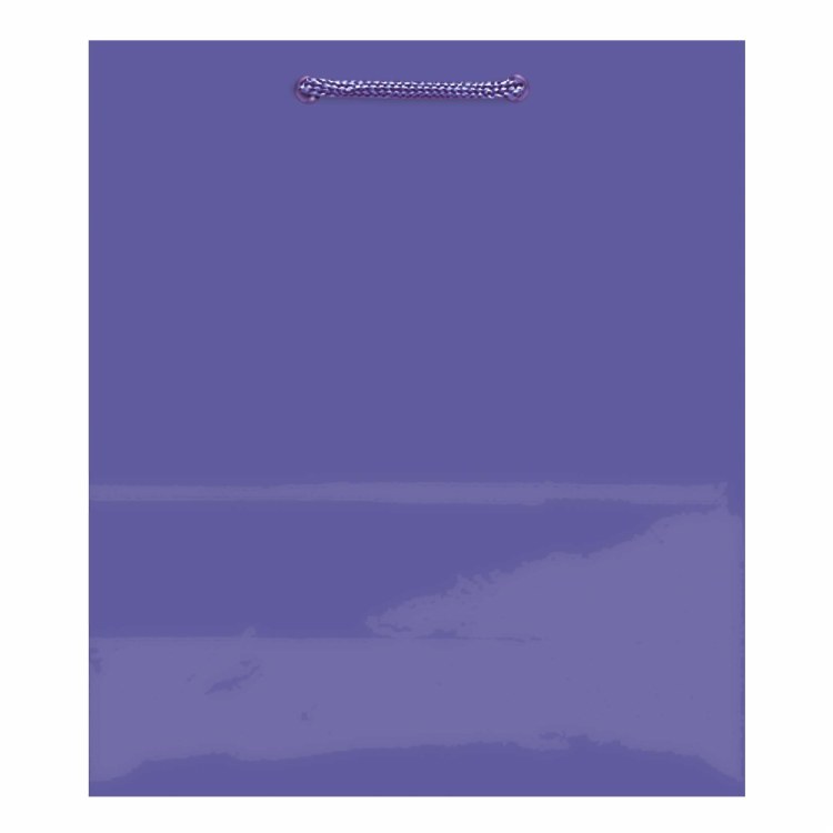 Gift Bag Med Purple
