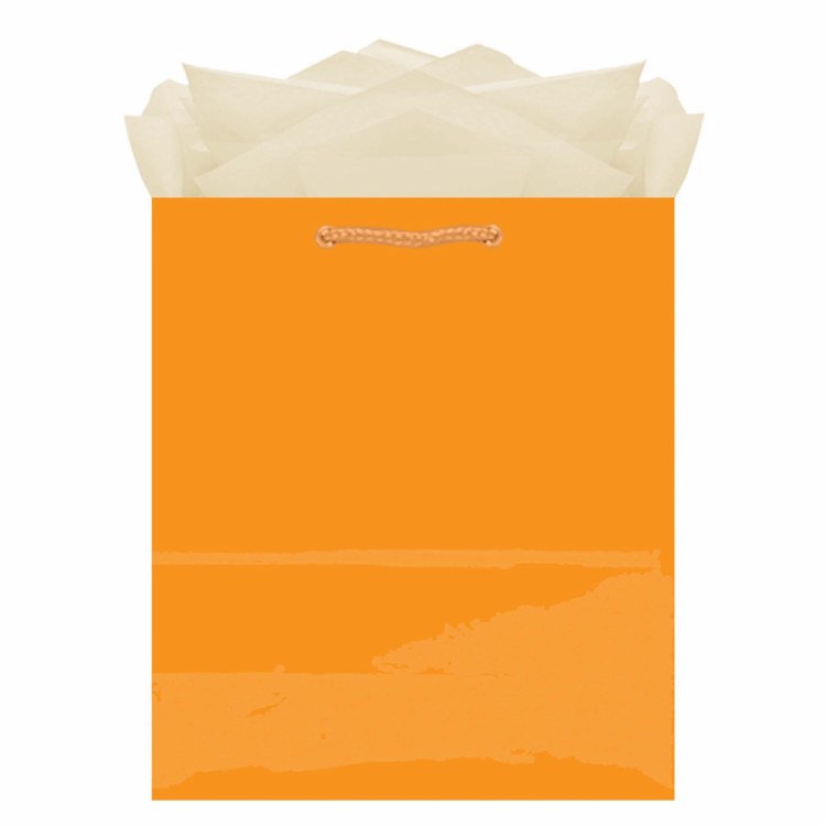Gift Bag Medium Orange