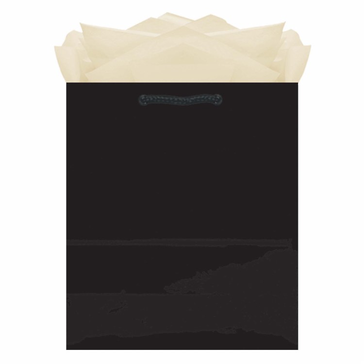 Gift Bag Medium Black