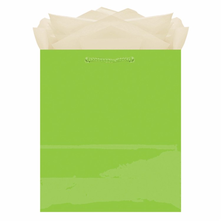 Gift Bag Medium Kiwi
