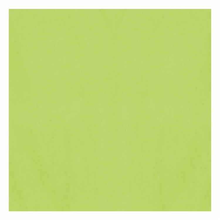 Tissue Paper Kiwi