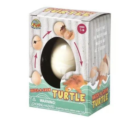 Hatch-N-Grow Turtle