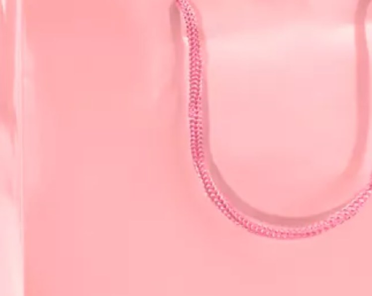 Gift Bag Med Lt Pink