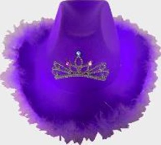 Hat Cowboy Purple w/ Tiara