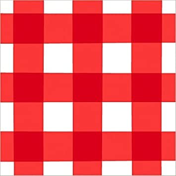 American Summer Picnic Gingham Lunch Napkins 16ct