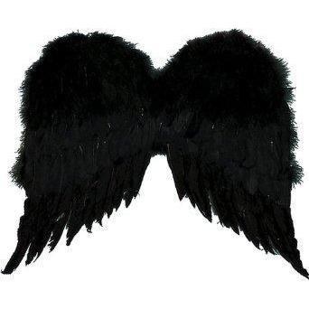 Wings Feather Black 22in