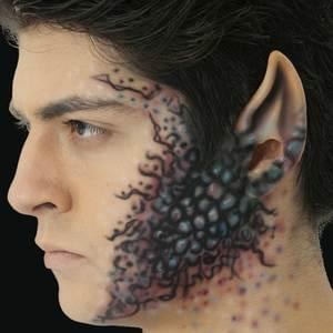 Ear Tips Space Large