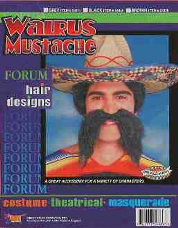 Moustache Walrus Brn