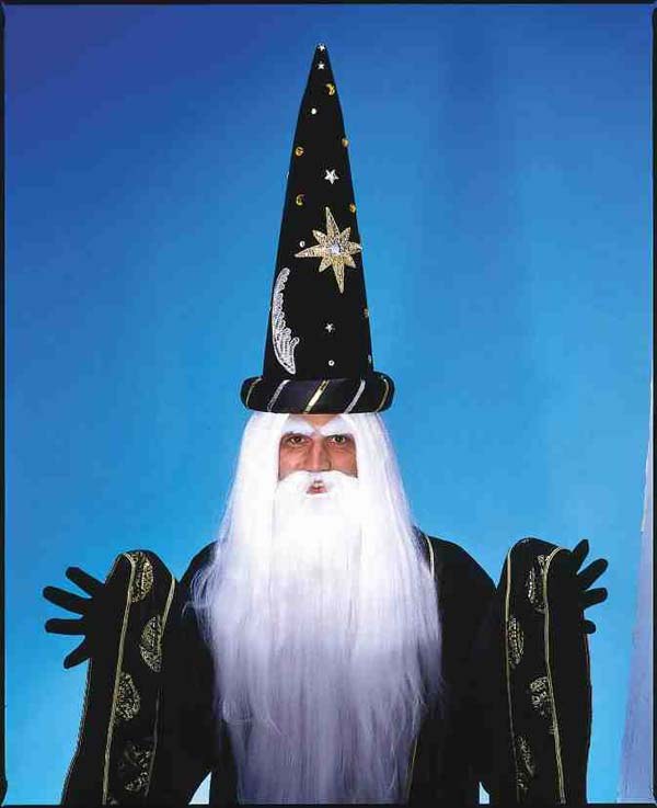 Merlin Wig w/ Beard
