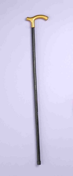 Walking Cane Gold Handle