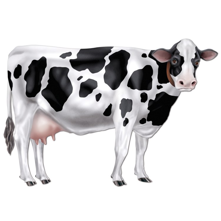 Cow Jointed Cut Out