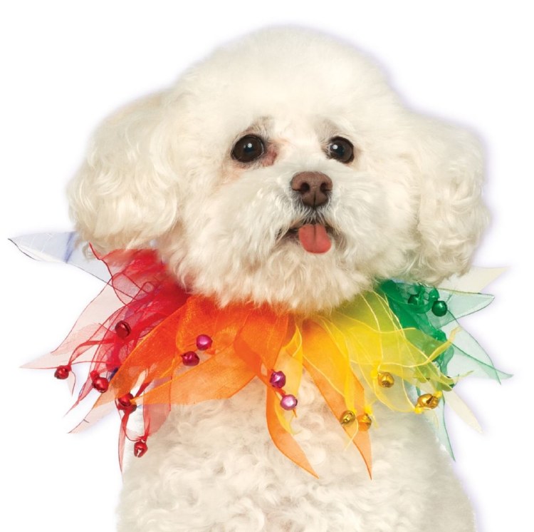 Pet Frilly Collar Rainbow M/L