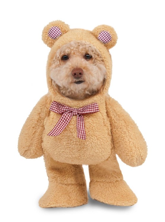 Pet TeddyBear Walking M