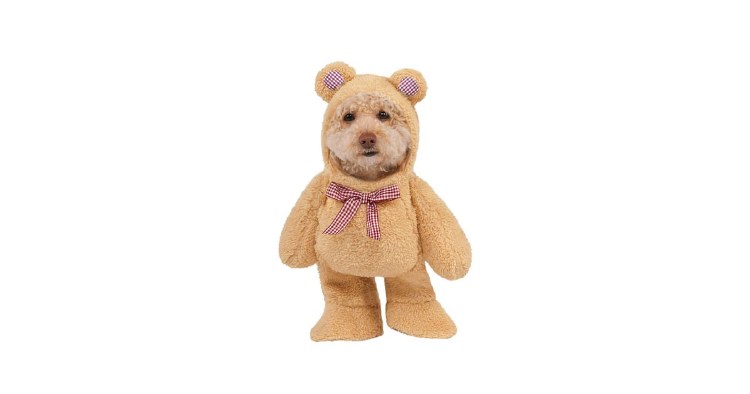 Pet TeddyBear Walking XS