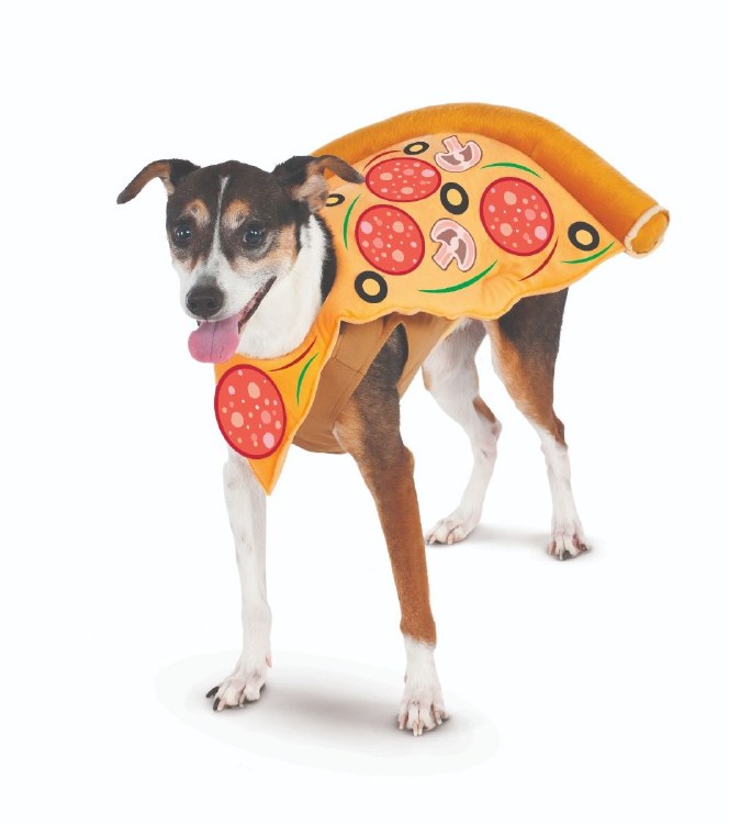 Pet Pizza Slice M