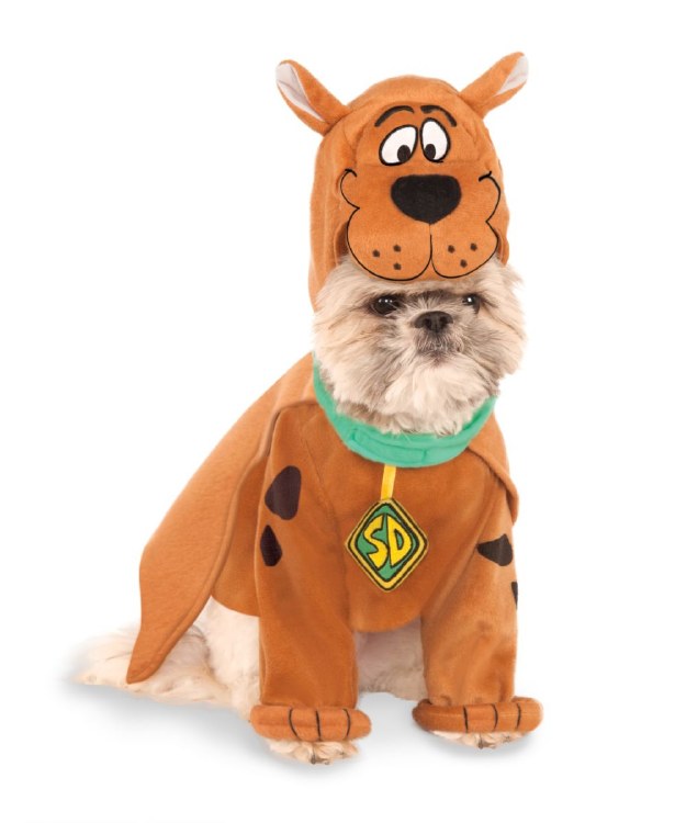 Pet Scooby doo Med
