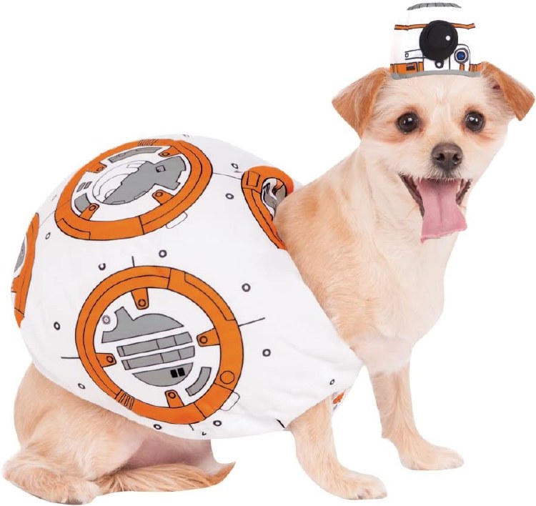 Pet BB-8 Sm