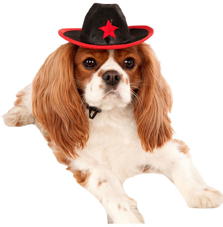 Black Pet Cowboy Hat