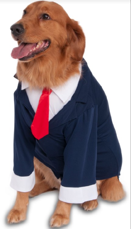 Pet Bussiness Suit  XXXL