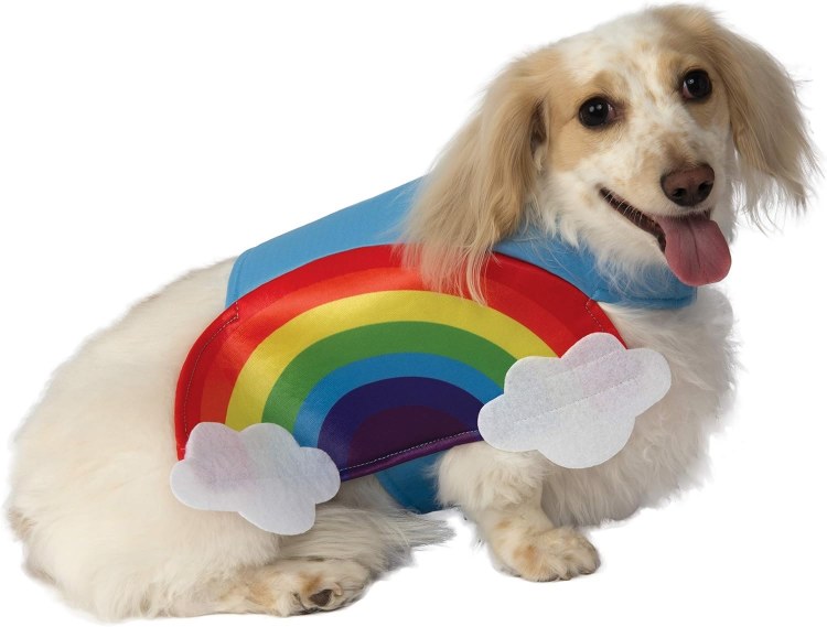 Rainbow Pet Costume Med