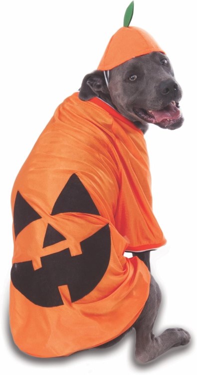 Pumpkin Pet Costume XXL