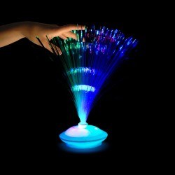 Oval Fiber Optic Lamp