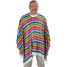 Serape Multi One Size