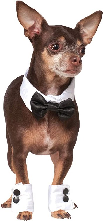 Pet Bow Tie &amp; Cuff M/L